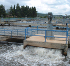 Tratamiento de Aguas Residualess